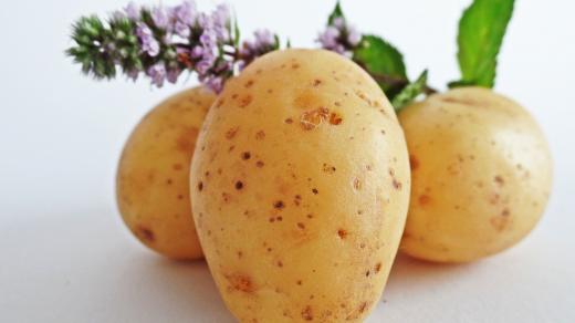 brambory (ilustr. obrázek)