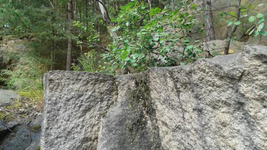 Zbytky po těžbě jsou dodnes patrné na stěně v podobě jakoby useknutých skalních kusů