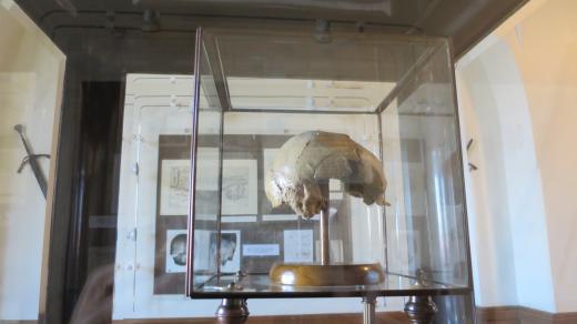 Kalva Žižky ve vitríně Pietní síně na radnici v Čáslavi