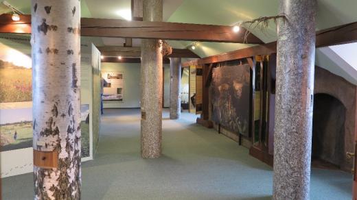 Stromy ukrývají šuplíčky pro zvídavé