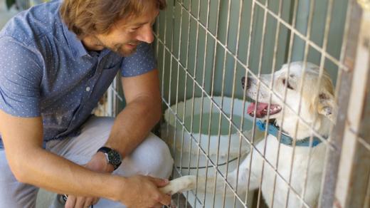 Psi, kteří našli domov v útulku, mají naději na lepší život 