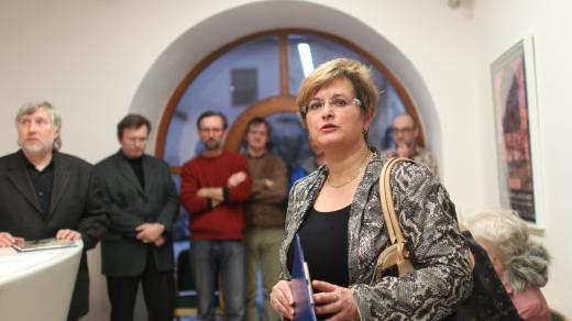 Hana Řeháková v galerii