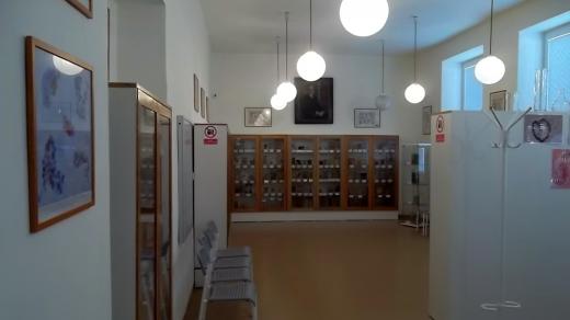 Muzeum patologie se nachází v prostorách Slezské nemocnice v Opavě