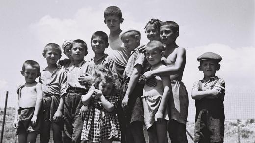 Sirotci, přeživší holokaust