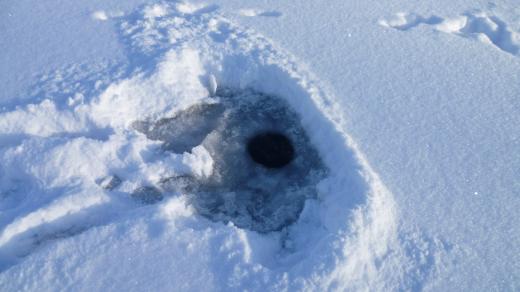 Díra v ledu, Humpolec