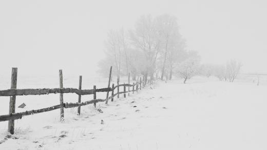 Zima a mráz (ilustrační foto)