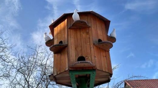 Holubník na Babiččině dvorečku především chrání holuby před škodnou