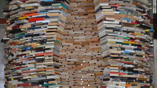 Idiom z 8 tisíc knih v Ústřední knihovně v Praze