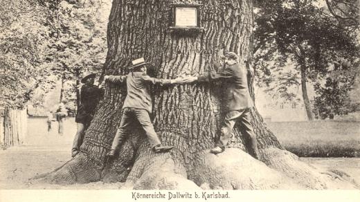 Körnerův dub v Dalovicích na historické pohlednici (cca 1900)