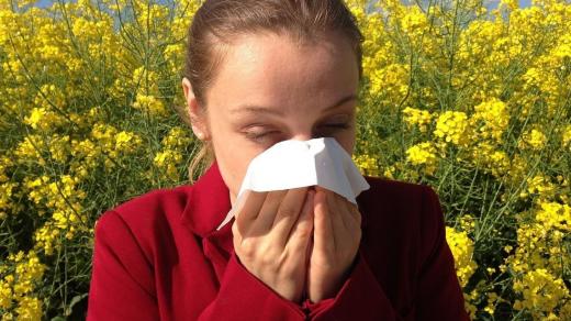 Alergie postihne čím dál víc lidí