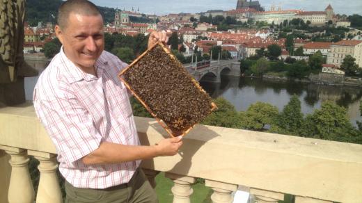 Včelař Augustin Uváčik na střeše Rudolfina