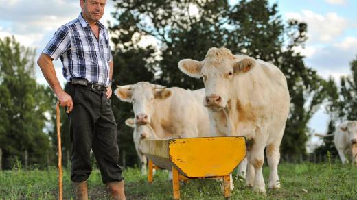 Soukromý zemědelec