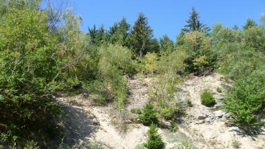 Bílá hora a okolí, Jihlava