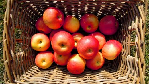 Jablka budou letos zřejmě dražší než mandarinky nebo i banány (ilustrační foto)