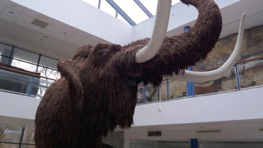 Doslova největším magnetem expozice je jednoznačně maketa mamuta