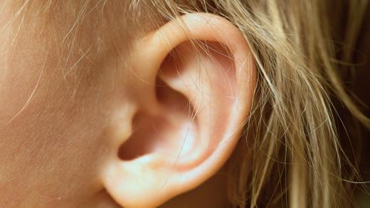 Ucho (ilustrační snímek)