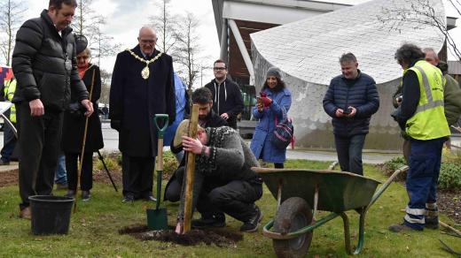 Hrušeň doputovala do města Stoke on Trent z Lidic už loni v červnu