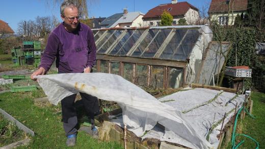 Zahradník František Hlubocký připravuje na vyvýšený záhon bílou netkanou textilii