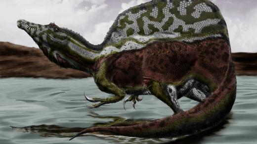 Takhle nějak možná mohl vypadat spinosaurus