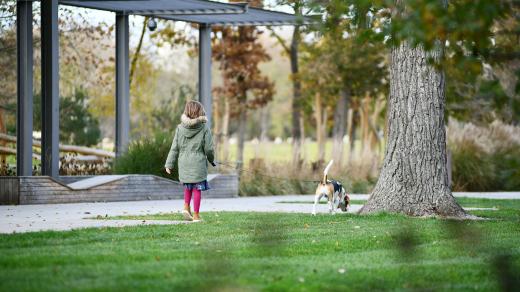 Na procházku se psem do Tyršových sadů. Opravený park se rychle stal jedním z nejoblíbenějších míst v centru Pardubic