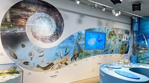 Dům přírody na Berounsku