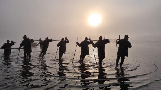 Výlov největšího českého rybníka mají rybáři naplánovaný do čtvrtka. Během podzimu chtějí zatáhnout sítě na přibližně 250 rybnících.