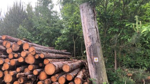 Turisté se snaží s majiteli lesů dohodnout, aby při těžbě dřeva zachovali turistické značení. Ne vždy je to ale jednoduché
