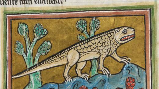 Zobrazení krokodýla v Rochesterském bestiáři (kolem roku 1200)