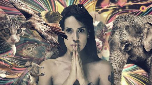 cosmos - šamanismus