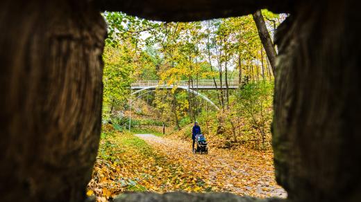 Lesopark Čertova rokle, Brno-Lesná, mostek, lávka, podzim