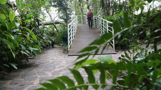 Botanická zahrada Teplice, tropický skleník
