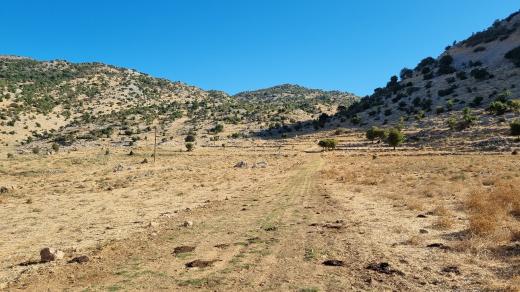 Golanská turistická stezka vede mezi zničenými tanky, ale také mezi potůčky a v létě kvetoucími lukami