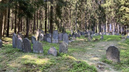 Lesní židovský hřbitov