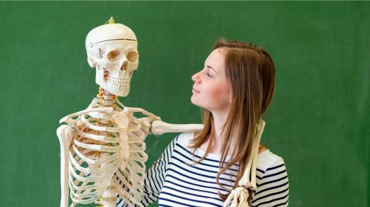 Víte, kolik kostí je v lidském těle?