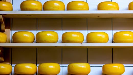 Výhoda sýru eidam je v tom, že se při zrání nekazí