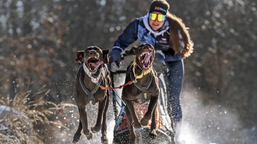 Pavla Hrníčková si s Rosinkou a Maceškou jede pro zlato na MS IFSS 2023 ve Švédsku