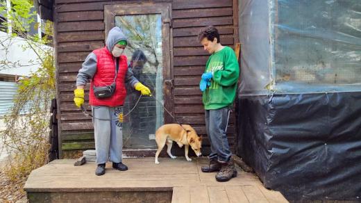Útulek pro psy v Charkově je plný třínohých psů