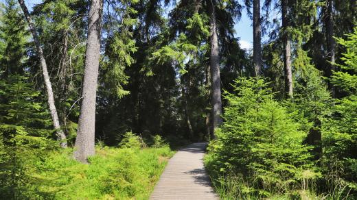 CHKO Slavkovský les