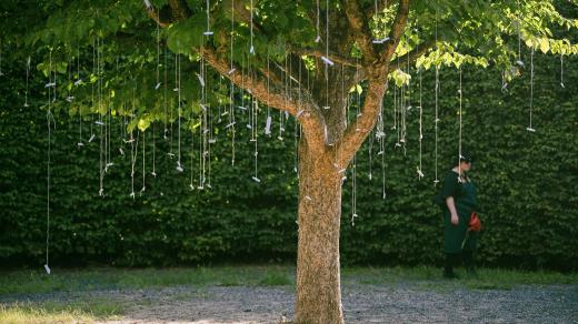 Republika Zahradníiíiíiíiíi