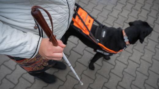 Nevidomý (ilustrační foto)