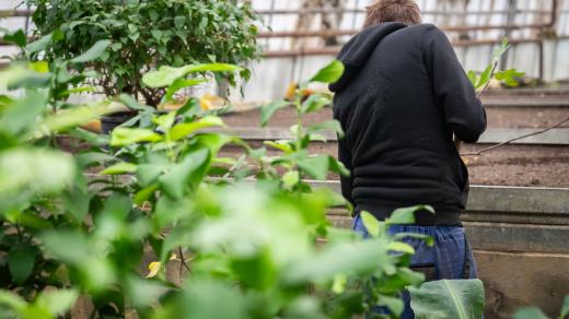 Výchovný ústav Boletice nad Labem