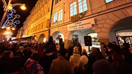 Shromáždění na podporu Domu umění v Českých Budějovicích v prosinci 2024