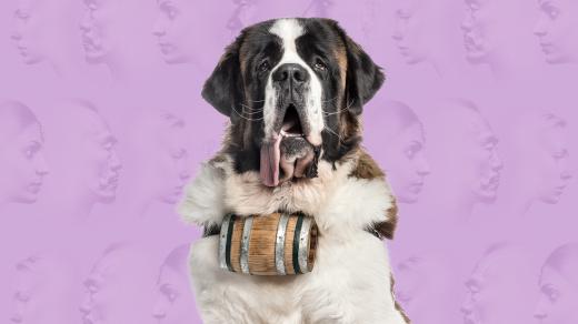 Člověčiny: Zvířata ve službách člověka