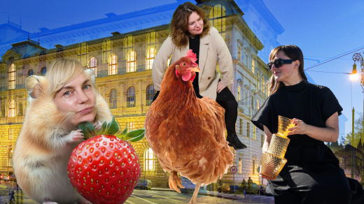 Buchty si pozvaly do studia absolventku UMPRUM Kamilu Dvořákovou