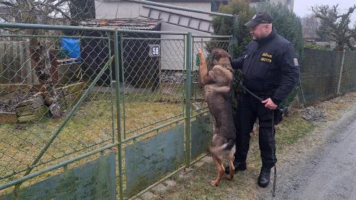 Policisté kontrolují chaty