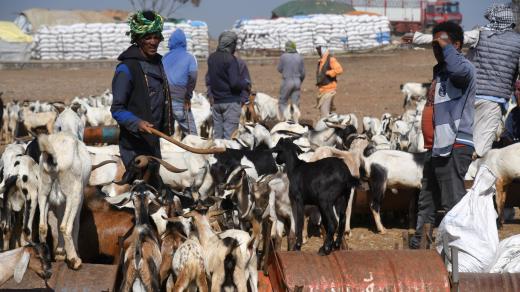 Eritrea pohledem Lukáše Synka