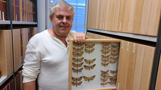 Tomáš Melichar objevil víc než stovku nových nepopsaných druhů