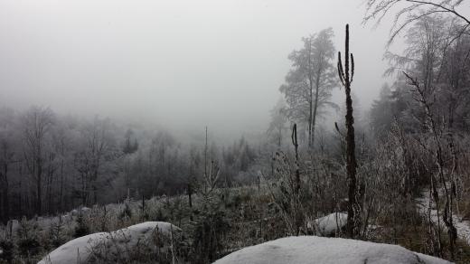 Jižní svah Velkého Mehelníku
