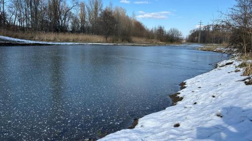 Jedna z tůní v přírodní rezervaci Žebračka u Přerova