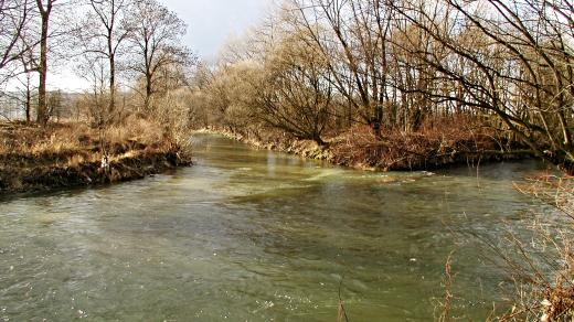 Soutok Moravy a Moravské Sázavy najdeme uprostřed luk a polí